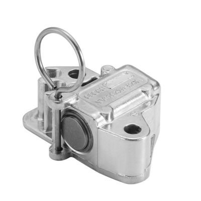 Buy Car Timing Chain Tensioner LR051008 LR095472 C2Z28428 C2Z20682 AJ813898 AJ812419 For Land Rover Range Rover Sport Vogue Jaguar online manufacture