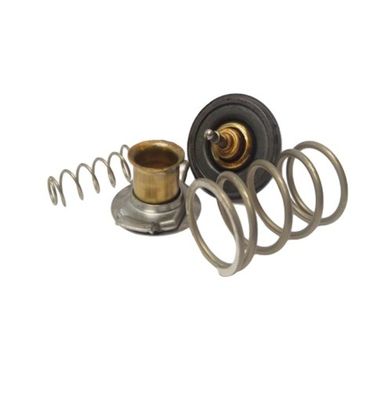 Buy Thermostat LR023138 Original for Land Rover Range Rover Range Rover Sport online manufacture